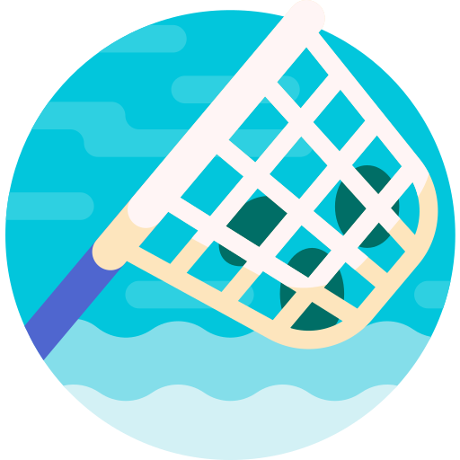 Pool Cleaning